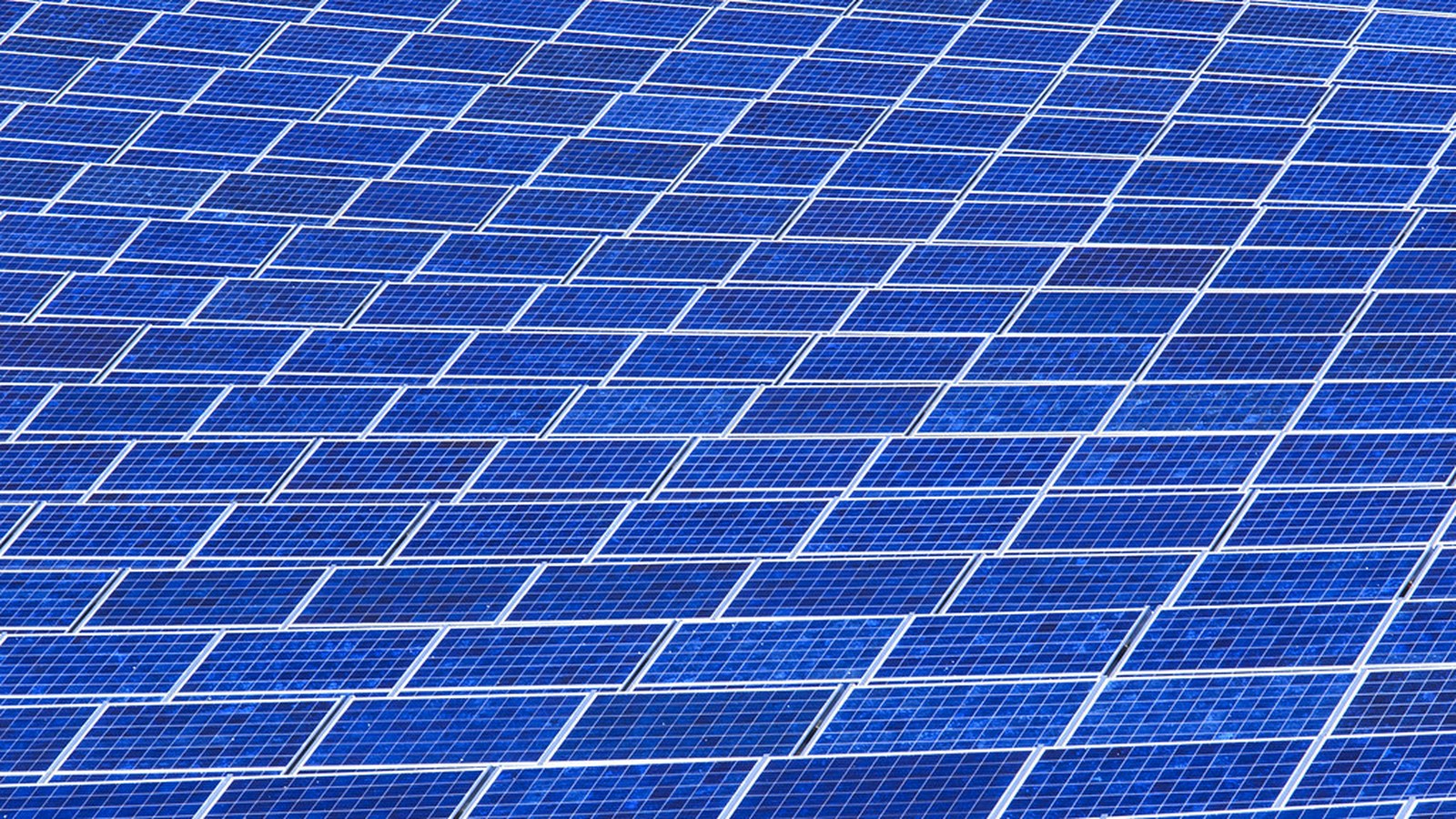 Blaue Solarmodule in dichten Reihen von oben fotografiert